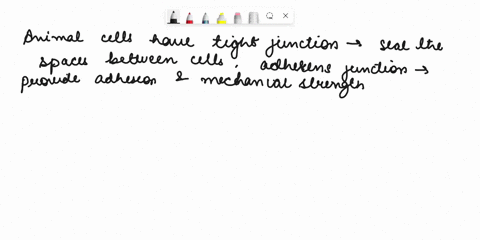 1-what-are-the-different-junctions-in-animal-cells-plant-cells-2-which-junctions-in-plant-and-animal-cells-are-similar-3-explain-how-different-junctions-function-59987