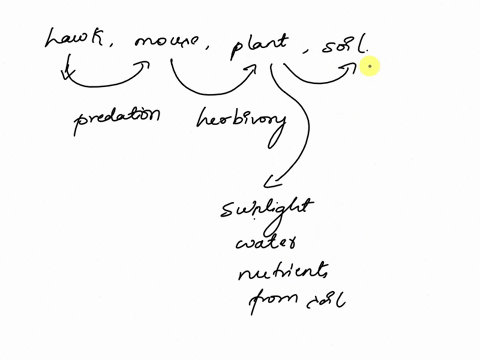 organisms-in-a-community-are-interrelated-by-the-abiotic-and-biotic-resources-they-use-throughout-their-lives-a-describe-the-relationships-that-exist-among-a-hawk-a-mouse-a-plant-and-soil-in-20138