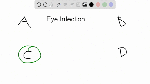 which-of-the-following-pathogens-cannot-infect-the-human-eye-or-neighboring-tissue-eg-eyelid-and-skin-around-eye-a-herpesvirus-b-chlamydia-trachomatis-c-clostridium-perfringens-d-treponema-p-22556