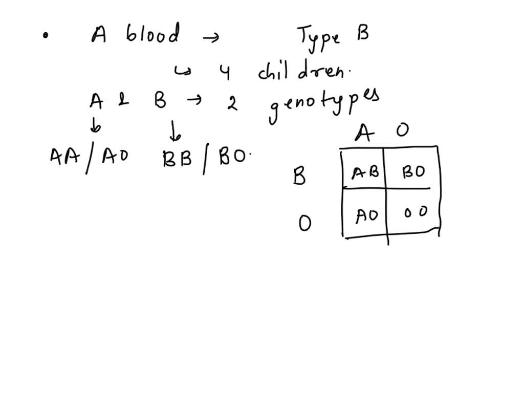 SOLVED: A man has type A blood and his wife has type B blood. A ...