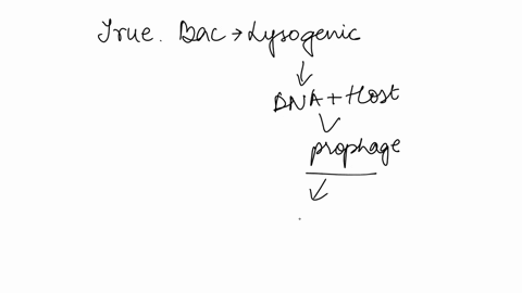 25-when-a-bacteriophage-enters-into-the-lysogenic-pathway-the-only-way-the-viral-dna-could-be-replicated-is-during-bacterial-dna-replication-true-ealse-84368