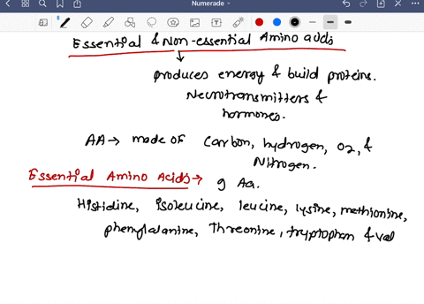 write-an-essay-about-the-different-amino-acid-groups-as-essential-and-nonessential-the-essay-should-include-sources-as-well-as-why-it-is-important-to-our-body-76754