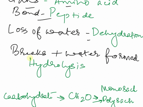 3-match-the-description-with-the-key-terms-given-below-in-blue-polymerization-macromolecule-peptide-dehydration-hydrolysis-a-a-protein-is-a-polymer-built-by-linking-together-amino-acids-whic-57682
