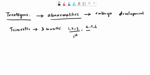 basically-what-to-teratogens-do-48024