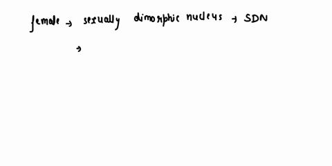 question-12-arswer-saved-ponb-ou-female-nas-large-sexualy-dimorphic-nucleus-sdn-what-is-the-most-iikely-cause-select-one-she-ikely-has-mutation-in-the-gene-encodlng-sa-reductase-fud-qunzor-s-48163