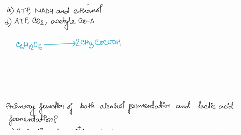 m-i-2-ji-f-06-3i-1wn-1-tnfc-j-58-in-the-absence-of-oxygen-yeast-cells-can-obtain-energy-by-fermentation-which-results-in-the-production-of-which-of-the-following-sets-of-molecules-11-4-a-atp-59824