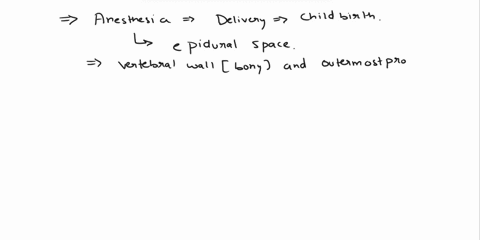 anesthesia-for-childbirth-subarachnoid-space-csubdural-space-epidural-space-epipial-space-system-sensory-neuron-motor-neuron-effector-cell-interneuron-c-receptor-cell-28the-knee-jerk-reflex-12356