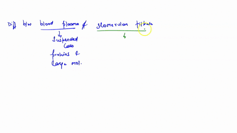 which-substance-is-found-in-plasma-but-not-in-filtrate-protein-urea-water-glucose-29826