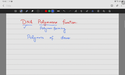 an-enzyme-to-add-nucleotides-specifically-at-the-ends-of-chromosomes-would-be-question-6-options-helicase-telomerase-dna-polymerase-dna-ligase-24512