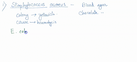 which-media-type-will-be-best-to-isclate-and-identify-the-following-bacteria-types-staphylococcus-aureus-and-2-escherichia-coli-and-for-each-bacteria-listed-what-color-will-the-colonies-exhi-76688