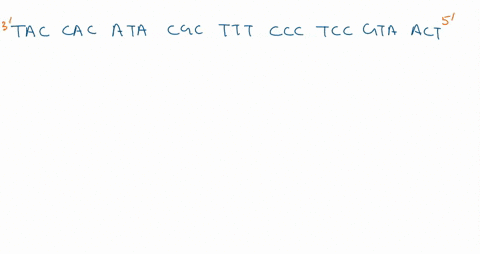 transcribe-the-dna-sequence-below-and-translate-the-mrna-wild-type-sequence-dna-tac-cac-ata-cgc-ttt-ccc-tcc-gta-act-mrna-peptide-part-v-insert-a-cytosine-after-the-7th-base-in-the-wild-type-47865
