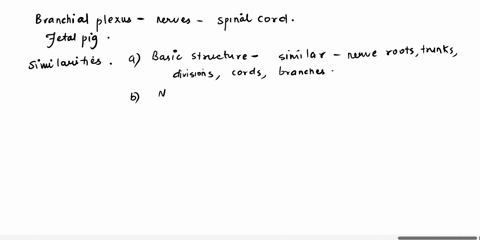 1-what-are-similarities-and-differences-of-the-fetal-pig-dissection-specimen-brachial-plexus-and-the-human-brachial-plexus-2-what-are-similarities-and-differences-between-the-fetal-pig-sacra-48918