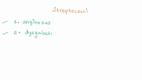 what-are-other-bacteria-in-group-a-streptococci-except-s-pyogenes-77306