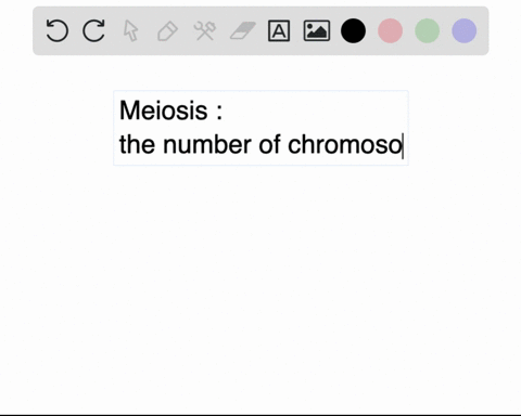 after-meiosis-l-explain-what-has-happened-to-the-number-of-chromosomes-in-the-daughter-cells-compared-to-the-parent-germ-cell-originally-contained-46-chromosomes-diploid-why-do-the-daughter-12257