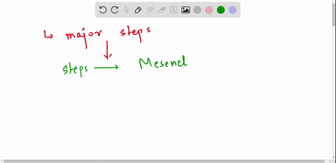 the-following-are-major-steps-in-the-process-of-intramembranous-ossification-1-clusters-of-osteoblasts-form-osteoid-that-becomes-mineralized-2-osteoblasts-differentiate-within-mesenchymal-co-76316