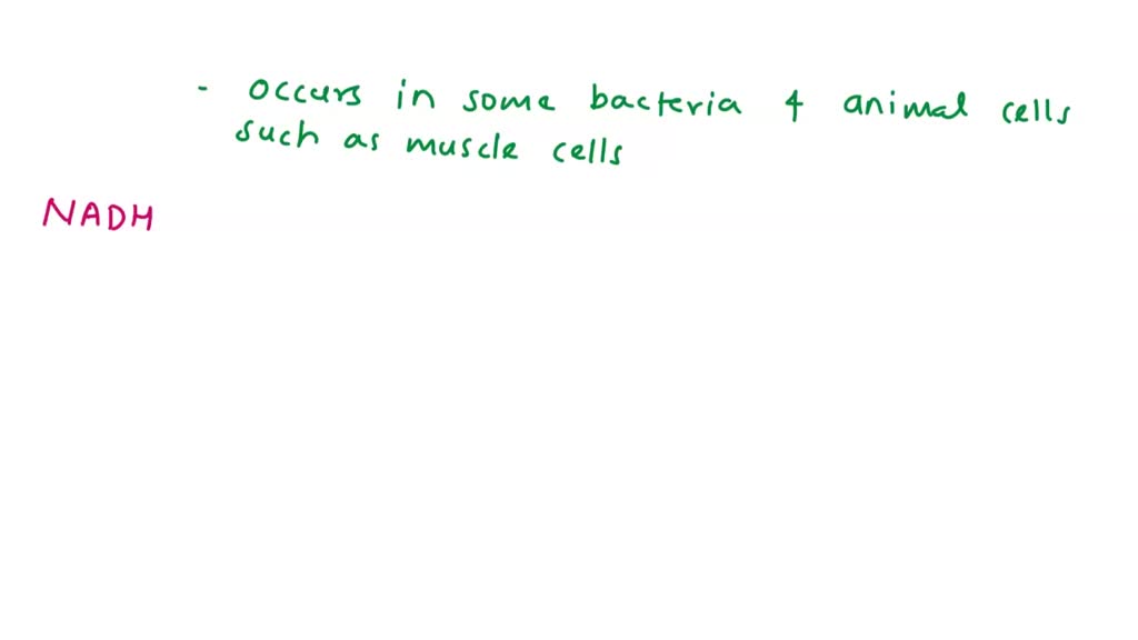 SOLVED: Explain how the terms lactate threshold and OBLA are