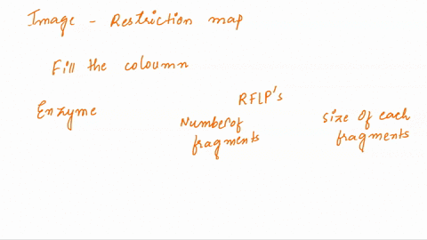 look-at-the-restriction-map-af-the-puc19-plasmid-28-kb-and-the-marker-sites-for-ecori-bamh1-and-hindill-restriction-enzymes_-show-in-the-table-the-number-and-the-size-of-the-rflp-produced-wh-76564