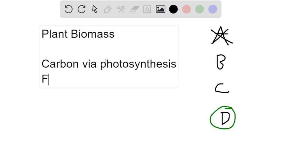 SOLVED From where does a plant get most of its matter? Select one A