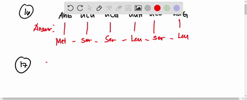 16-use-genelic-code-table-0f-codons-solve-this-problem-what-amina-acid-sequence-will-be-generaled-based-on-ine-followring-mrna-codon-sequence-5-aug-ucu-ucg-uua-ucc-uug-3-mel-arg-glu-arg-glu-39256