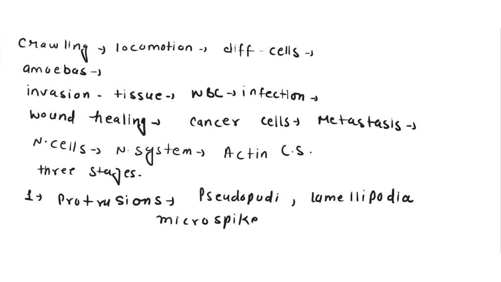 SOLVED: Describe in detail the five steps in the column chromatographic ...