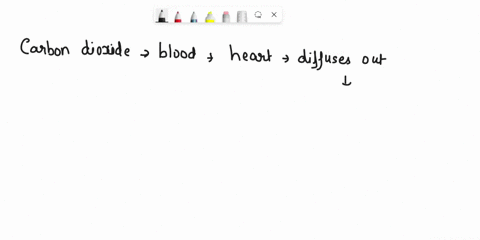 fast-please-bplace-the-following-steps-of-blood-flow-to-and-from-the-lungs-into-the-correct-order-tooether-carbon-dioxide-in-the-blood-from-the-heart-diffuses-out-of-the-capillaries-while-ox-08716