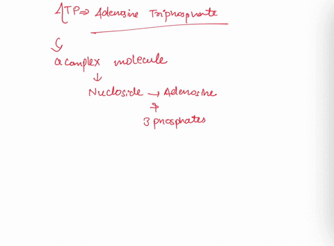what-is-the-role-of-atp-in-biological-reactions-4-88433