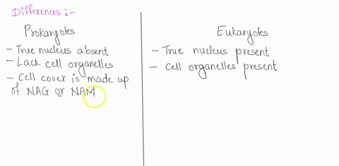in-what-ways-are-prokaryotic-and-eukaryotic-cells-different-in-what-ways-are-they-similar-43489