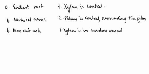 match-the-orlentations-of-xylem-and-phloem-with-the-proper-categorizatlon-of-a-monocot-or-eudicot-structure-enter-the-cofted-ietter-in-each-fleld-below-monocot-tcots-monocat-stems-konocot-le-94126