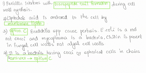 sample-practice-questions-for-microbiology-exam-quiz-caution-expect-these-type-questions-but-some-of-these-have-not-been-discussed-yet1-penicillin-interferes-with-a-backbone-b-cross-bridge-c-93805