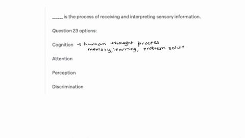 is-the-process-of-receiving-and-interpreting-sensory-information-question-23-options-cognition-attention-perception-discrimination