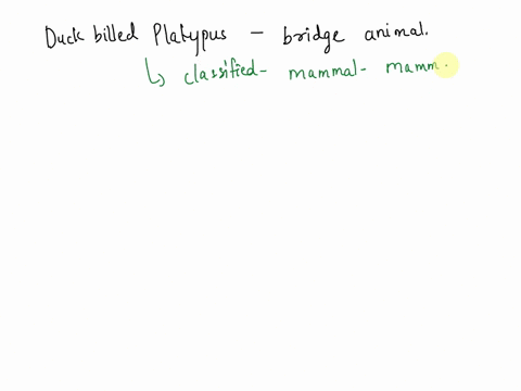 duck-billed-platypus-is-called-a-bridge-animal-why-28179
