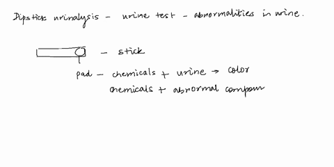 how-are-the-results-of-a-dipstick-urinalysis-determinedas-demonstrated-to-you-athe-stick-is-inserted-into-a-dipstick-readerand-results-are-recorded-bthe-dipstick-is-observed-under-a-microsco-56534