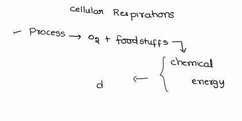 cellular-respiration-can-best-be-described-as-using-enerey-leased-from-breaking-high-energy-covalent-bonds-organic-molecules-t0-iorce-atp-formation-from-adp-and-phosphate-taking-electrons-fr-06694