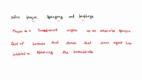 define-plaque-lysogeny-and-prophage-2-61371
