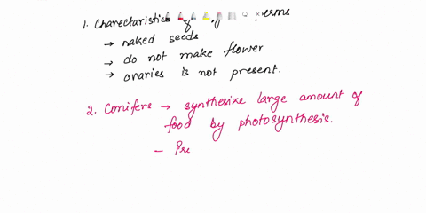 what-are-the-key-characteristics-shared-by-all-gymnosperms-aii-gymnospermymate-6220-ai-vrnos-cn-dn-not-moke-zoukxs-what-is-the-ecological-role-of-conifers-in-forest-systems-what-economically-38953