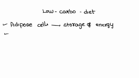 which-of-the-following-might-be-the-primary-source-of-energy-for-a-person-on-a-low-carbohydrate-diet-view-available-hints-which-of-the-following-might-be-the-primary-source-of-energy-for-a-p-04866