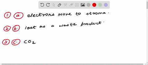 may-you-please-help-me-with-the-following-multiple-choice-questions-thank-you-so-much-1-when-the-reaction-center-has-sufficient-energy-a-electrons-move-to-the-stroma-b-water-is-produced-c-it-68579