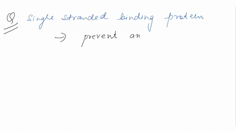 if-single-stranded-binding-protein-ssb-is-not-present-during-dna-replication-what-would-you-expect-to-see-ssb-prevents-reannealing-of-the-separated-strands-so-strands-would-quickly-reanneal-58726