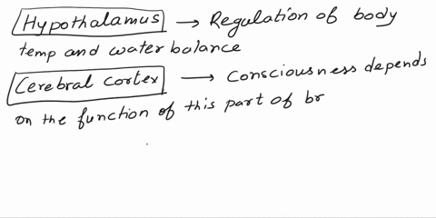 5-identify-the-structures-on-the-following-sagittal-view-of-the-human-brain-stem-and-diencephalon-by-matching-the-numbered-areas-to-the-proper-terms-in-the-list-a-cerebellum-10-11-b-cerebral-37024
