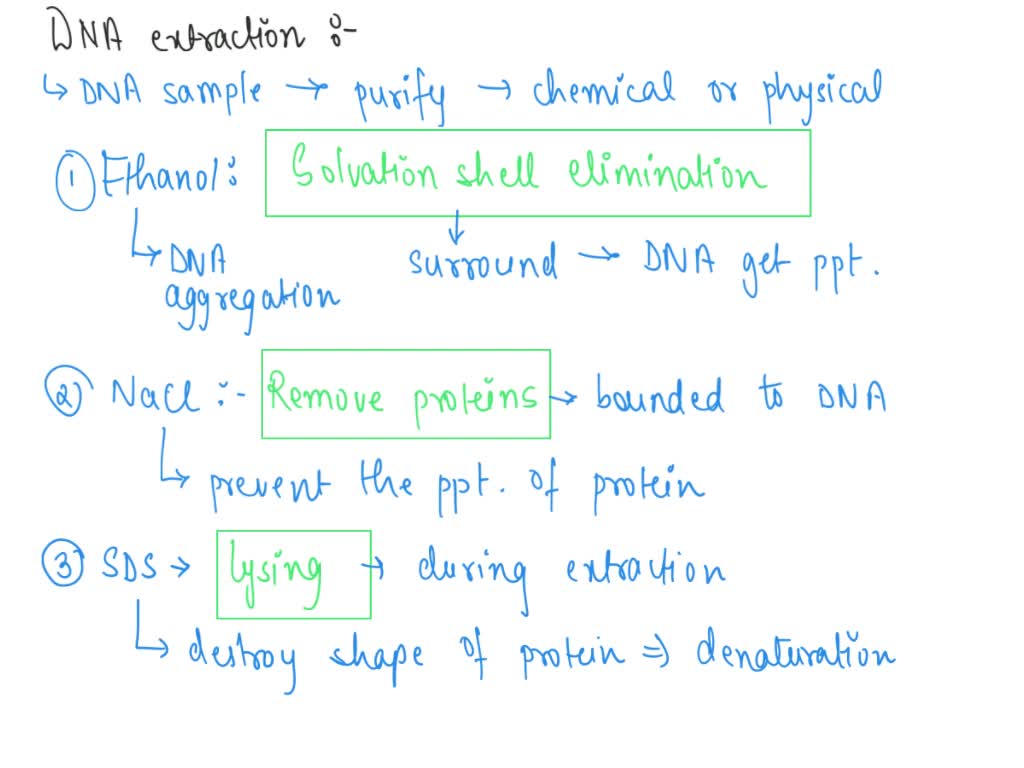 solved-2-you-want-to-use-an-alkaline-lysis-buffer-to-extract-dna-from