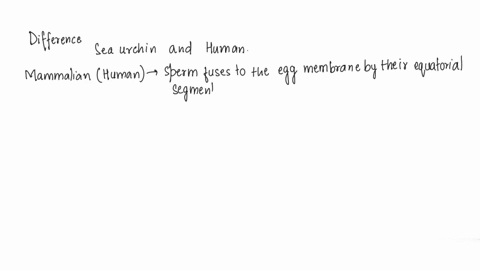 compare-and-contrast-sea-urchin-fertilization-and-mammalian-fertilization-27107