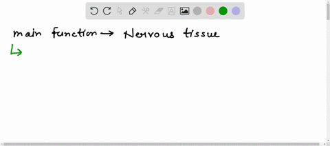 what-is-main-function-of-nervous-tissue-and-where-it-is-located-08102