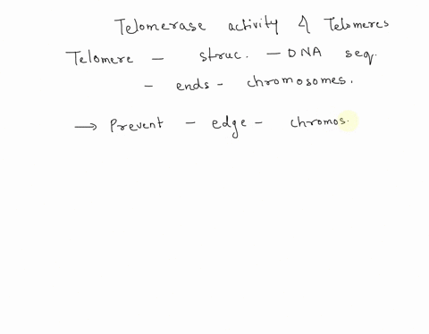 please-explain-why-telomeres-are-important-briefly-explain-how-telomeres-are-added-at-the-chromosome-ends-79564