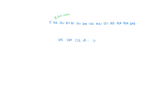 what-protein-would-the-following-sequence-encode-assume-that-the-ribosome-for-place-to-start-translation-please-write-has-bound-somewhere-upstream-of-the-displayed-sequence-below-and-is-sear-75796