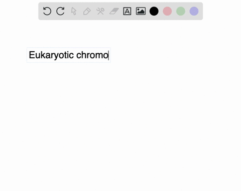 which-of-the-following-statements-about-eukaryotic-chromosomes-is-false-a-eukaryotic-chromosomes-h-5-54232