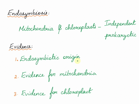 describe-the-theory-of-endosymbiosis-and-the-evidence-that-supports-it-99502