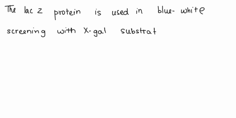 transgenic-fusions-between-gene-and-reporter-are-used-determine-whether-gene-expressed-which-of-these-components-allows-the-researcher-t0-work-with-living-specimens-and-why-the-lacz-protein-73336