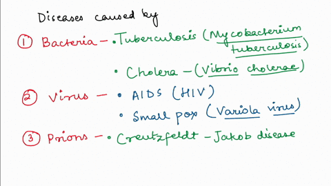 diseases-caused-by-bacteria-name-two-diseases-caused-by-viruses-name-two-diseases-caused-by-prions-name-one-diseases-caused-by-protozoa-name-two-diseases-caused-by-algae-name-one-diseases-ca-83088
