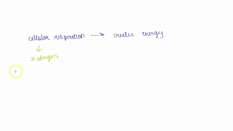 nad-is-a-vitamin-b-derivative-made-from-using-your-knowledge-of-cellular-respiration-explain-how-a-vitamin-b-deficiency-would-lead-to-fatigue-be-sure-to-use-key-terminology-explain-the-role-15448