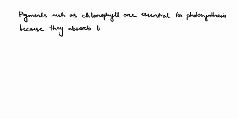 why-are-pigments-such-as-chlorophyll-needed-for-photosynthesis-82-section-questions-35734